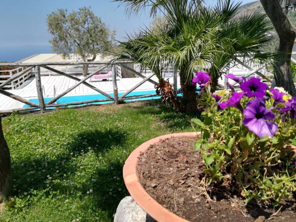 Il Casale Del Golfo Apartment Vico Equense Luaran gambar
